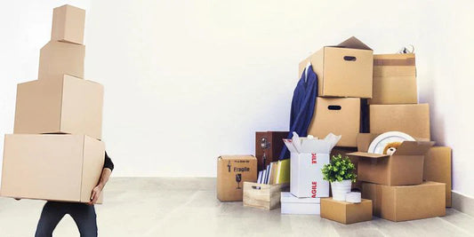 Why Have I Seen CPAP Specialists Boxes on the Sunshine Coast When Moving from House to House?
